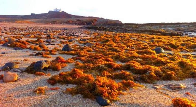 canarias-isla.jpg