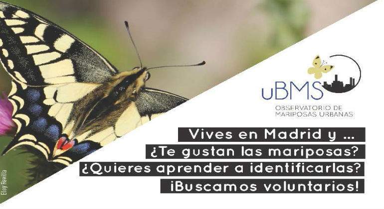poster_presentacion_madrid111111111.jpg