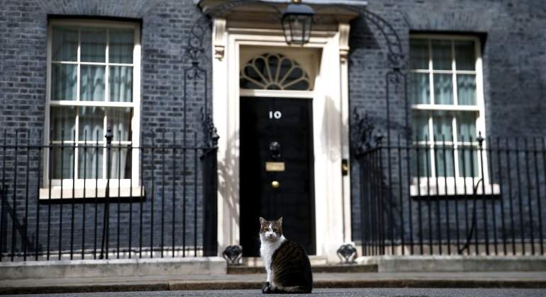 larry-downing-street-gato-reino-unido-reuters-770x420.jpg