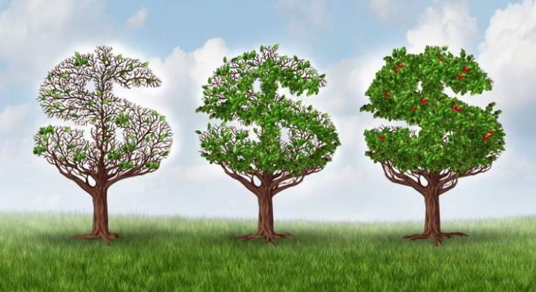 arboles-dinero-770.jpg