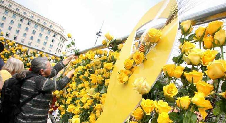 rosasamarillas770.jpg