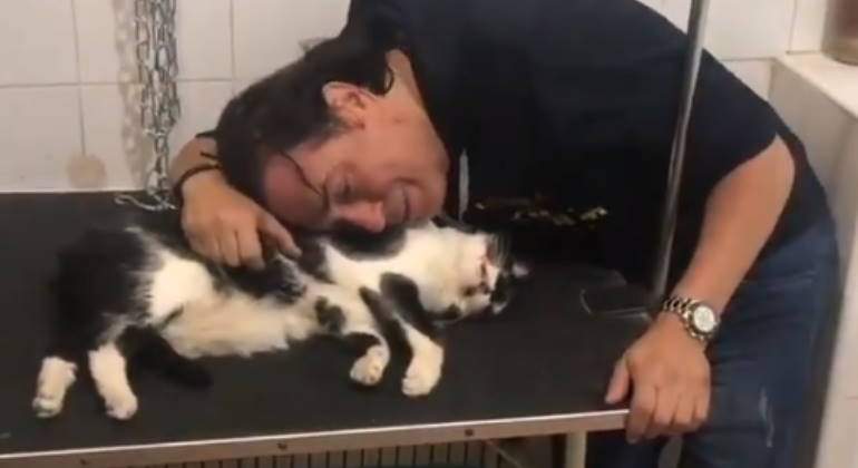 pipi-estrada-gato-trapito-770.jpg