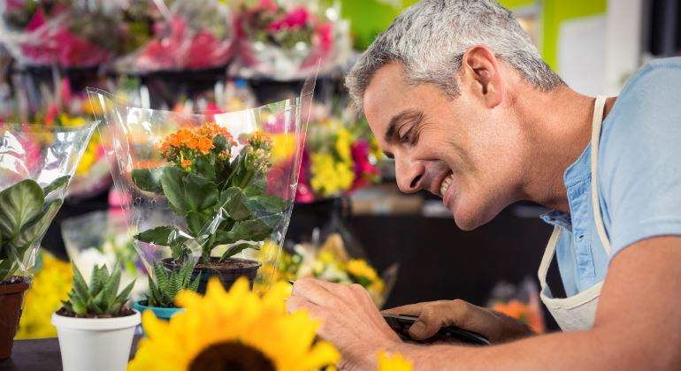 flores-tienda-770-dreamstime.jpg