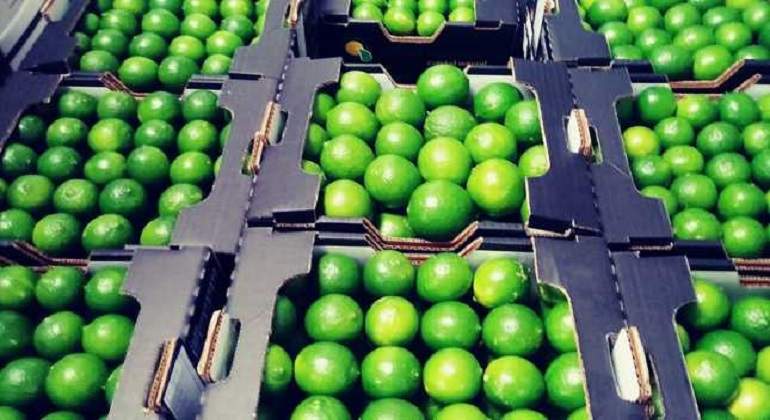 limones.jpg