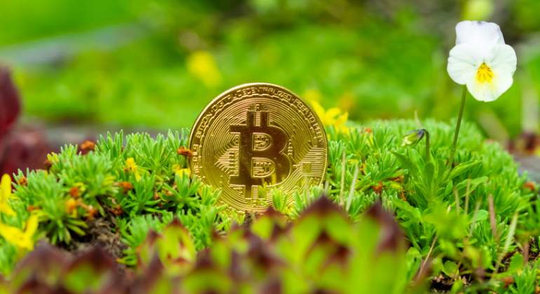 770-420-bitcoin-sostenible-verde-istock.jpg