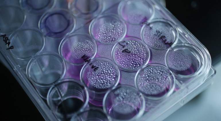 celulas-cancer-reuters.jpg