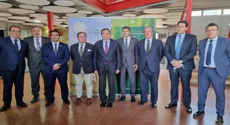 planas-arroceros.jpg