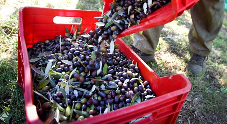aceitunas-espanolas-caja-roja.jpg