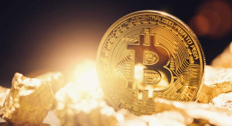 bitcoin-tulipan.jpg