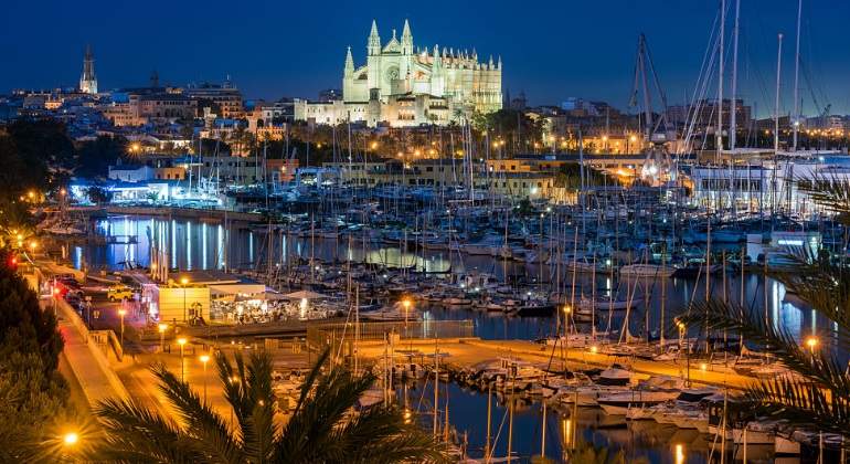 palma-noche.jpg