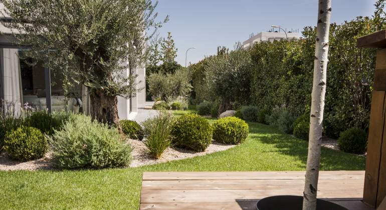 770x420-jardin-estudio-dani-valera-jardin.jpg