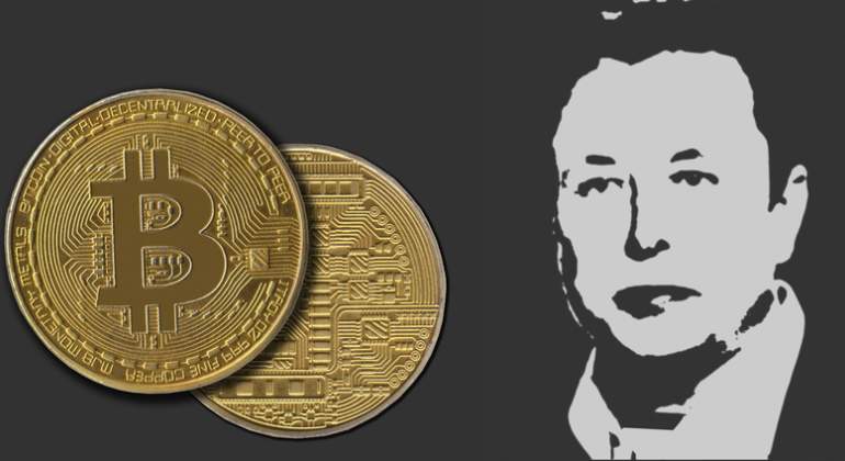 musk-silueta-bitcoin-dreams.jpg