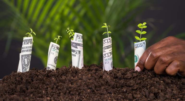 diversidad-capital-dreams.jpg