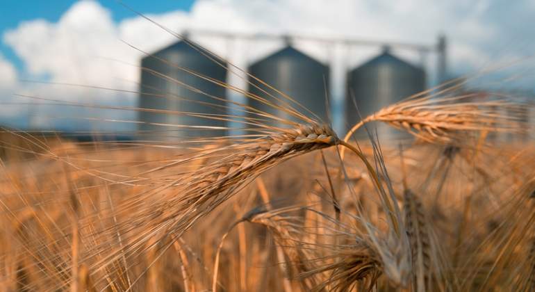 agricultura-dreams.jpg