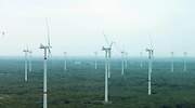 Atrys, Gigas, Greenalia... Los valores que consiguen que BME Growth suba un 40% en un año como 2020