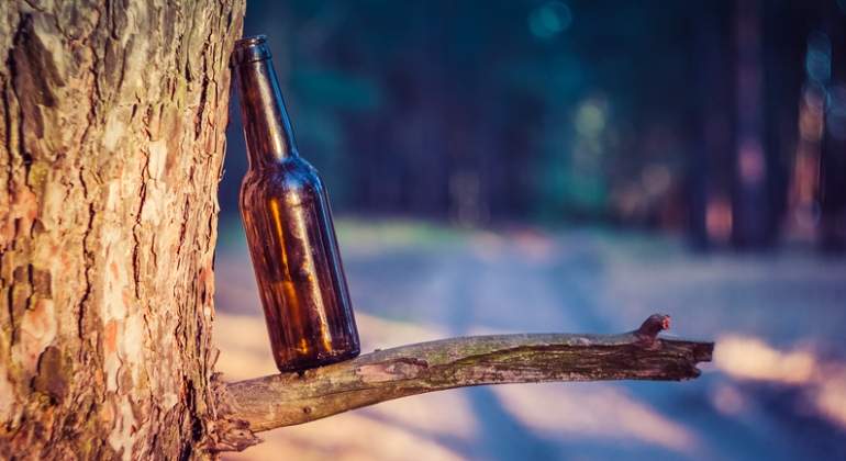 cerveza-arbol-drams.jpg