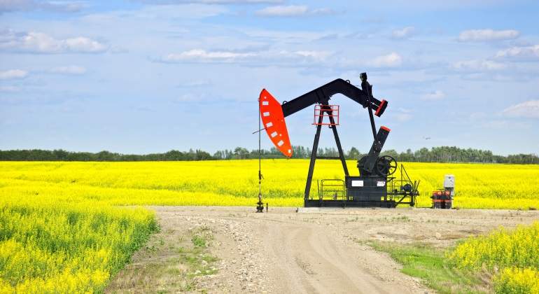 petroleo-martillo-campo.jpg