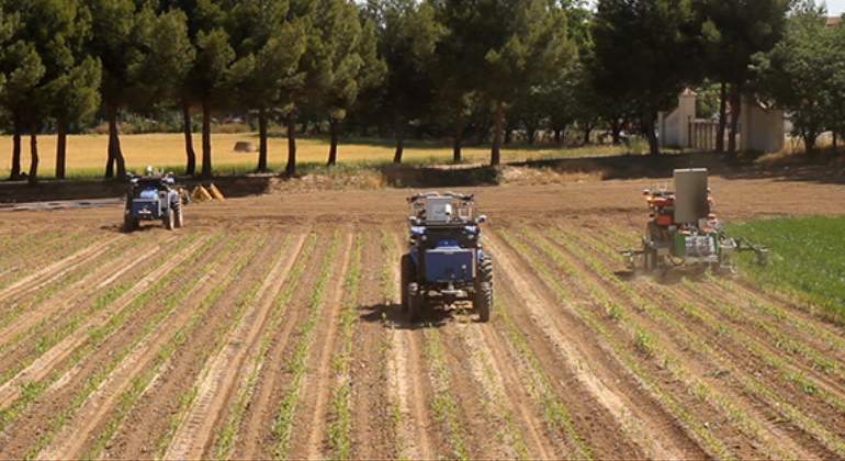 sector-agrario.jpg