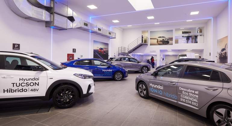 hyundai-ecostore.01.jpg