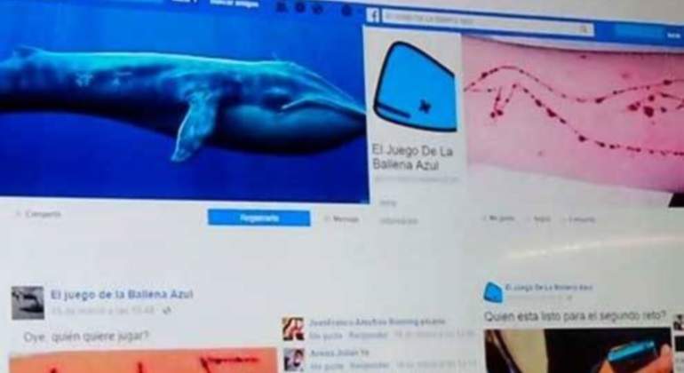 ballena-azul-770x420-facebook.jpg