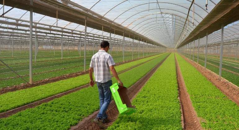 agricultura-tecnologia.jpg