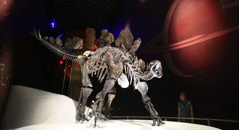 dinosaurio-esqueleto-reuters.jpg