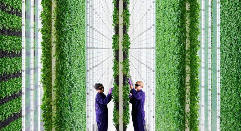 770-420-agricultura-vertical-plenty.jpg