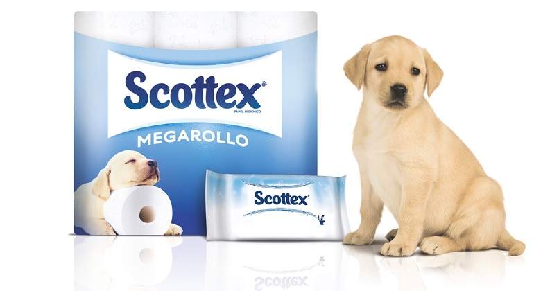 scottex-perro.jpg