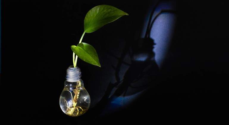 luz-dreamstime.jpg