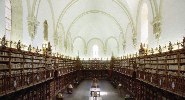 usal1111.jpg