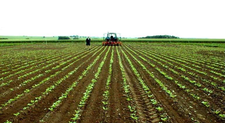 agricultura-colombia.jpg