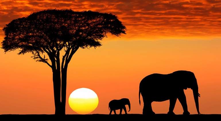 tanzania-770.jpg