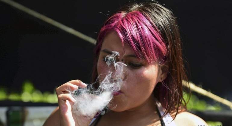 marihuana-senado-ieps-hacienda.jpg