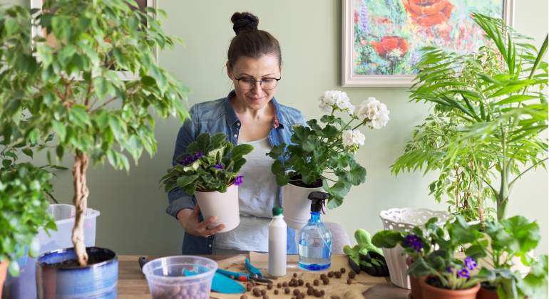 como-regar-plantas-durante-las-vacaciones-1.jpg