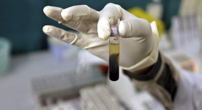 testacin animal en laboratorios