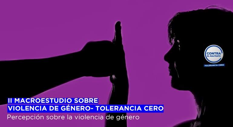 Portada-II-Macroestudio-sobre-Violencia-de-Genero-1.jpg