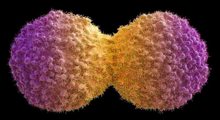 cancer-celulas-getty.jpg