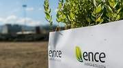 El segundo dividendo de Ence no se pagará al desplomarse el beneficio