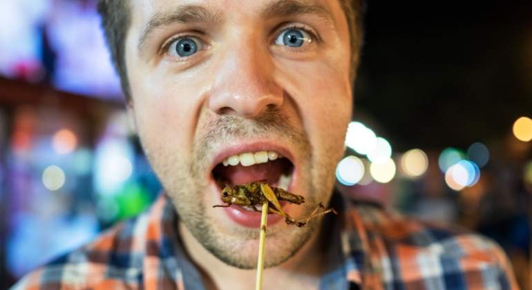 comer-grillos.jpg