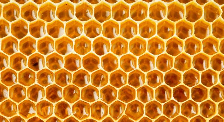 miel-panel-recurso-dreamstime.jpg