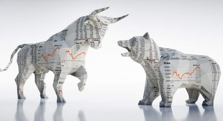 toro-oso-graficos.jpg