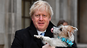 Mayoría absoluta aplastante para Boris Johnson, que logra vía libre para completar el Brexit