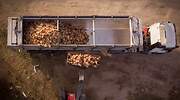 Un foco de gripe aviar obliga a sacrificar 133.750 gallinas en una macrogranja de Valladolid
