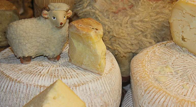 queso-oveja-recurso-dreamstime.jpg