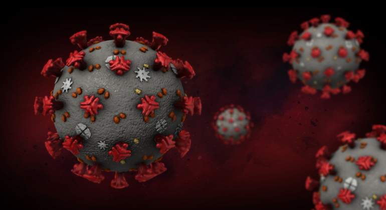 coronavirus-bicho-dreams.jpg