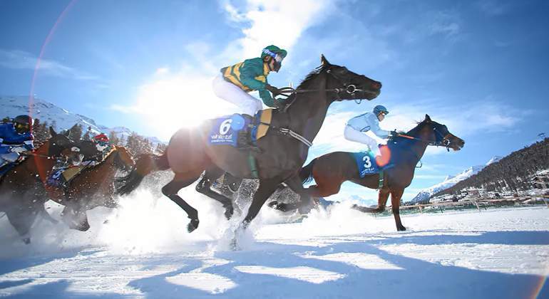 FOTO-1-CABALLOS-copia.jpg