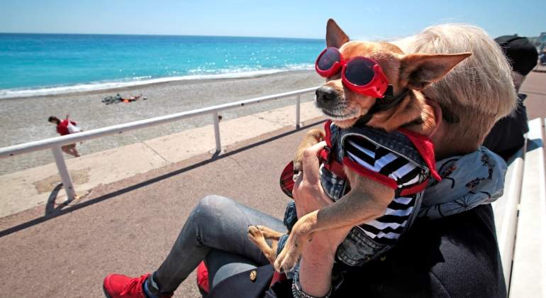 calor-playa-perro-reuters.jpg