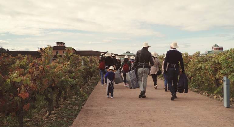 bodegasvivanco