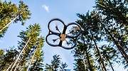 Drones, big data e ingeniería genética: tecnología punta para reforestar