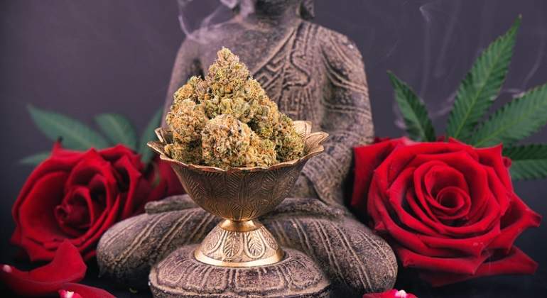 rosas-marihuana-buda-dreams.jpg